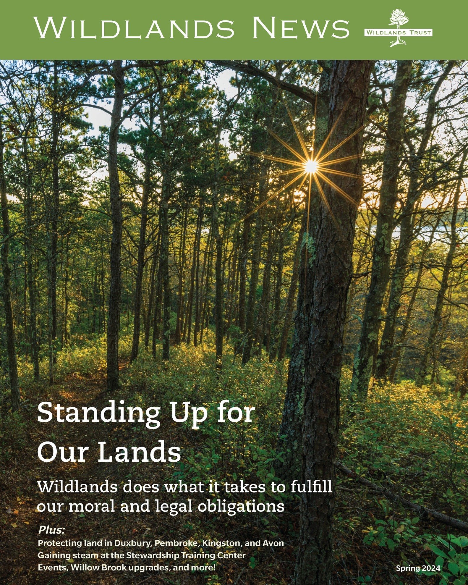 New Year, New News 🌲📰

Check your mailboxes! Our expanded and redesigned biannual newsletter, Wildlands News, was sent to members on Monday.

Featured: How Wildlands stands up for our lands, and for the communities we serve. Plus: newly protected l