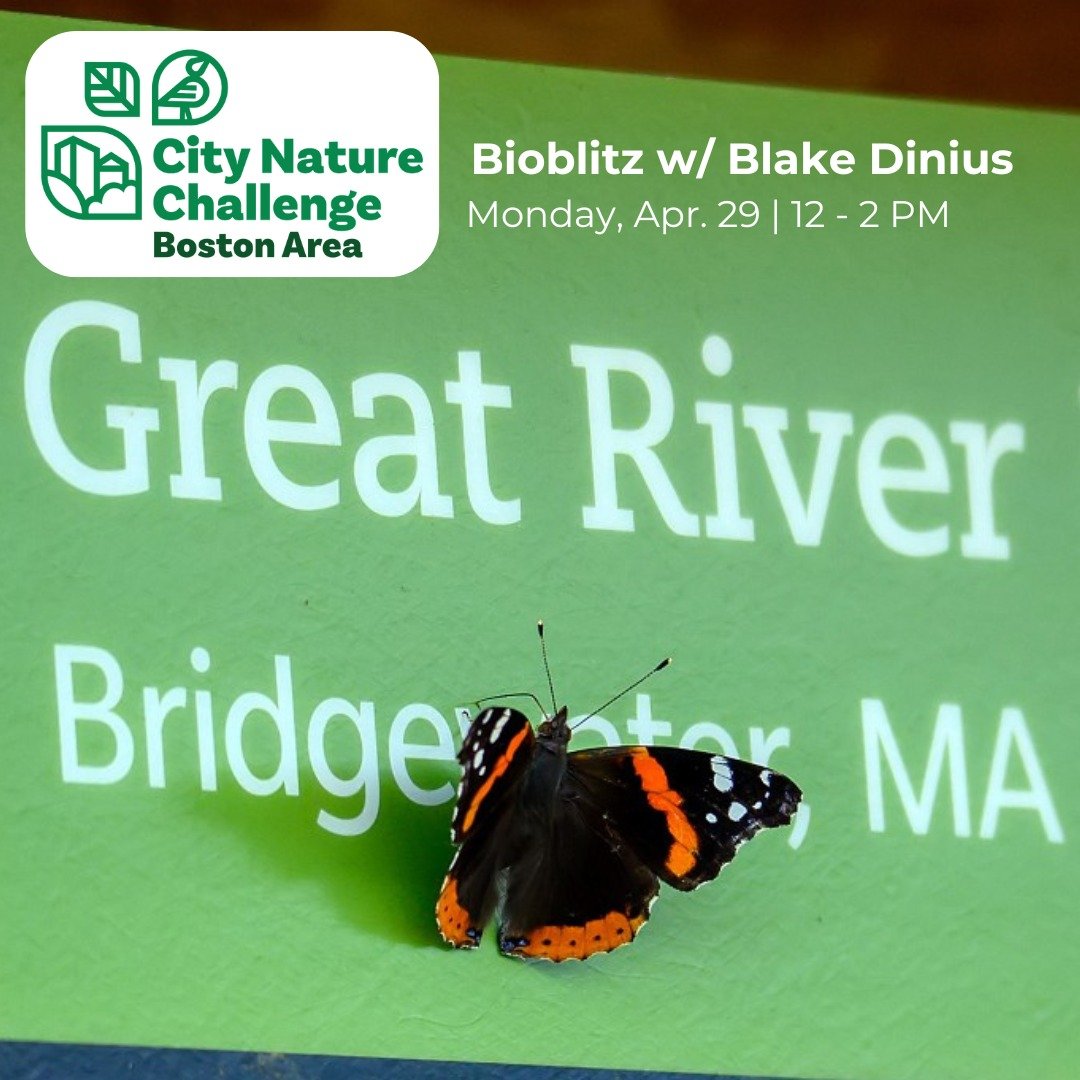 You can't protect what you don't know is there! 🦋🦆🐢🐿🦇🐟🐝🦅

This Monday, join @plymouthcountyextension entomologist Blake Dinius to document the biodiversity of Great River Preserve in Bridgewater! This effort comes as part of @bostoncnc, a col