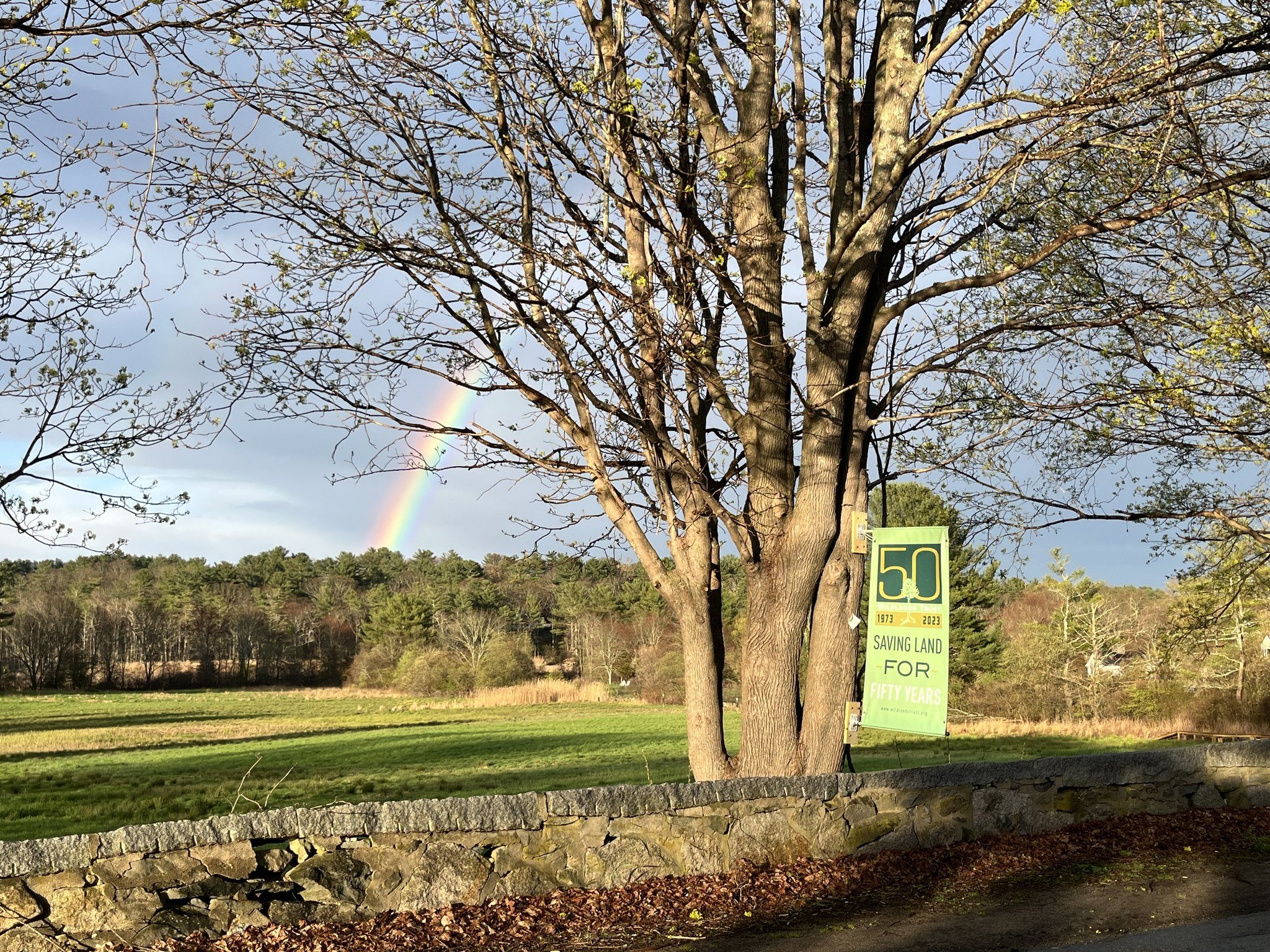 It's finally spring in Southeastern Massachusetts! Where is your favorite place to explore? 🌈

This Mother's Day, treat your mom to nature: wildlandstrust.org/trails 🌱

📸 Sylvester Field in Hanover. Photo by Elizabeth Johansen.