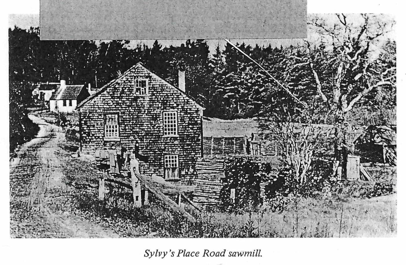 Wildlands Trust — Human History of Wildlands: Stewart/Person Preserve