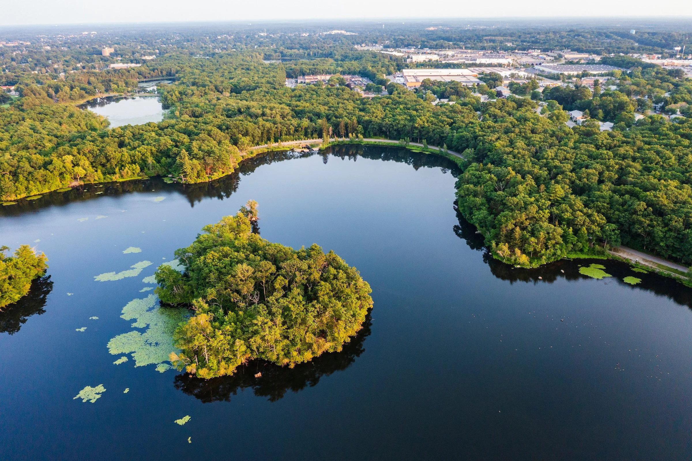 Wildlands Trust — Communities Unite to Expand D.W. Field Park