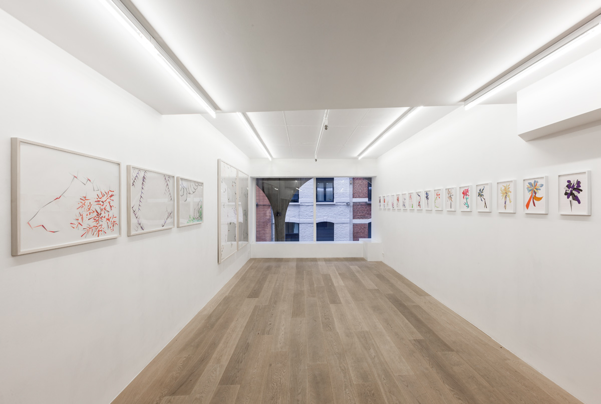 Lisa Blas. Still Lifes, Sometimes Repeated (exhibition view) Photography Vincent Everarts