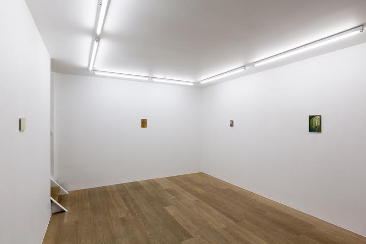 Barbara Cardone. Vanishing Point and Other Camouflage (Exhibition view – ground floor)