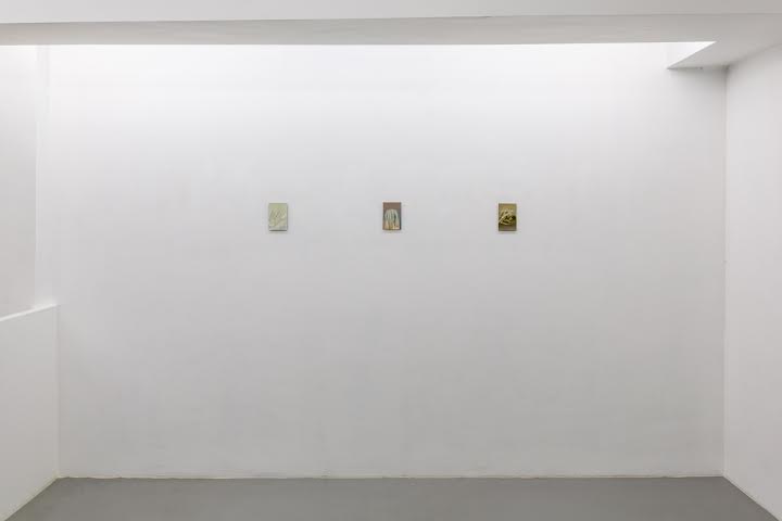 Barbara Cardone. Vanishing Point and Other Camouflage (Exhibition view – upper floor)