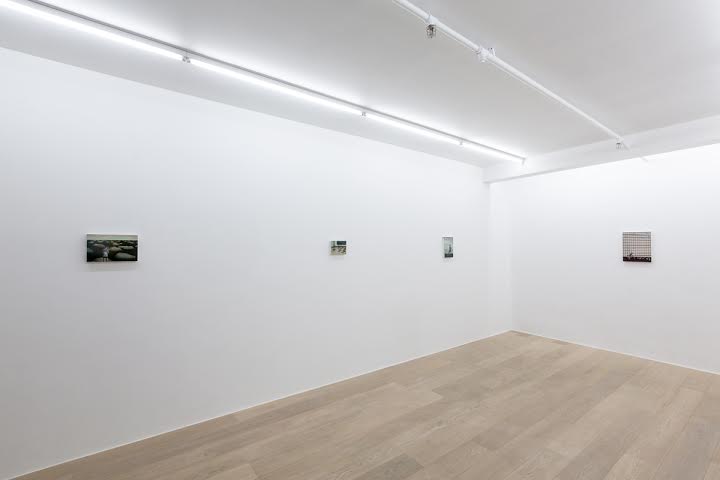 Carolina Fernandez. The Middle Way (Exhibition view)