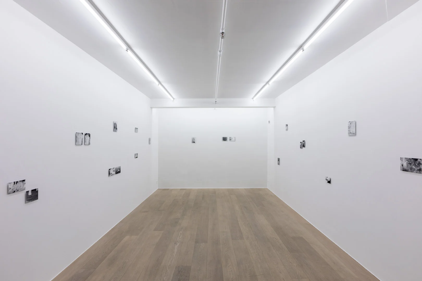 Wiktoria Synak. Cialo Exhibition view