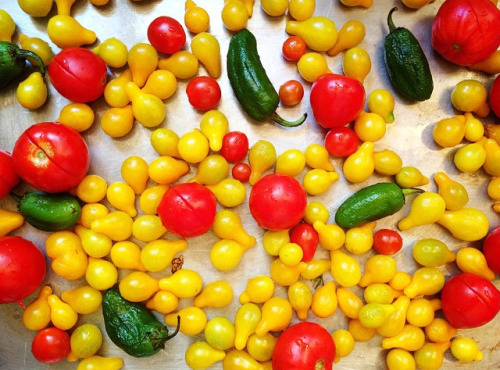 tomatoes2crop.jpg