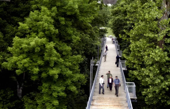 NCTC Bridge 3.jpg