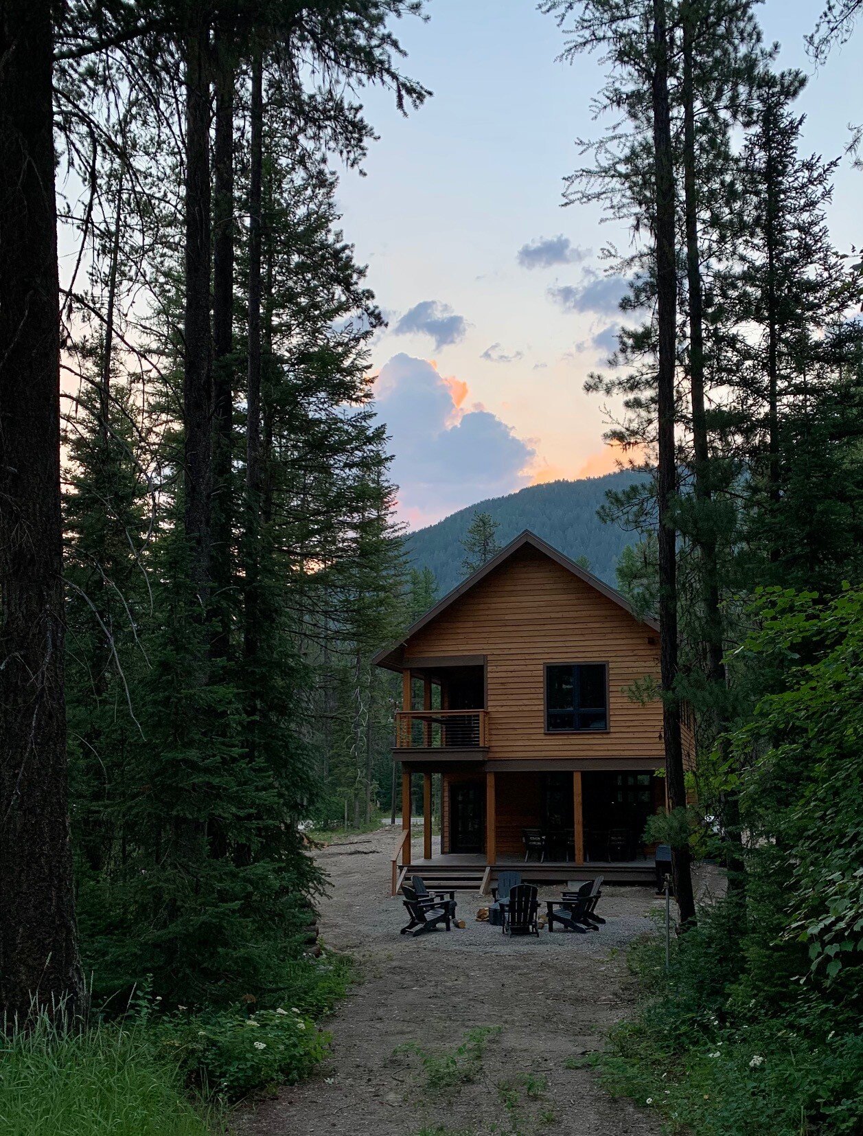 02_cabin_trees.jpg