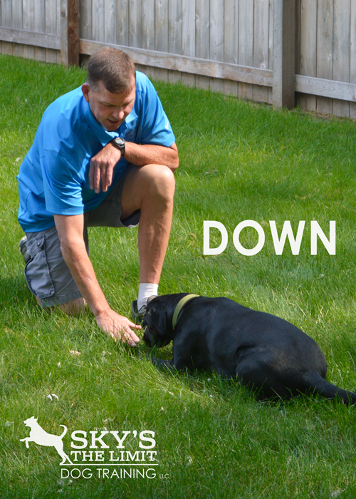 Down.png