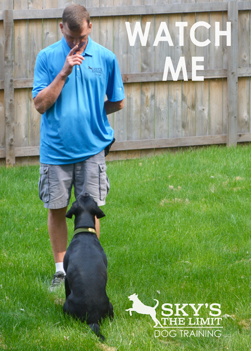 Watch.png