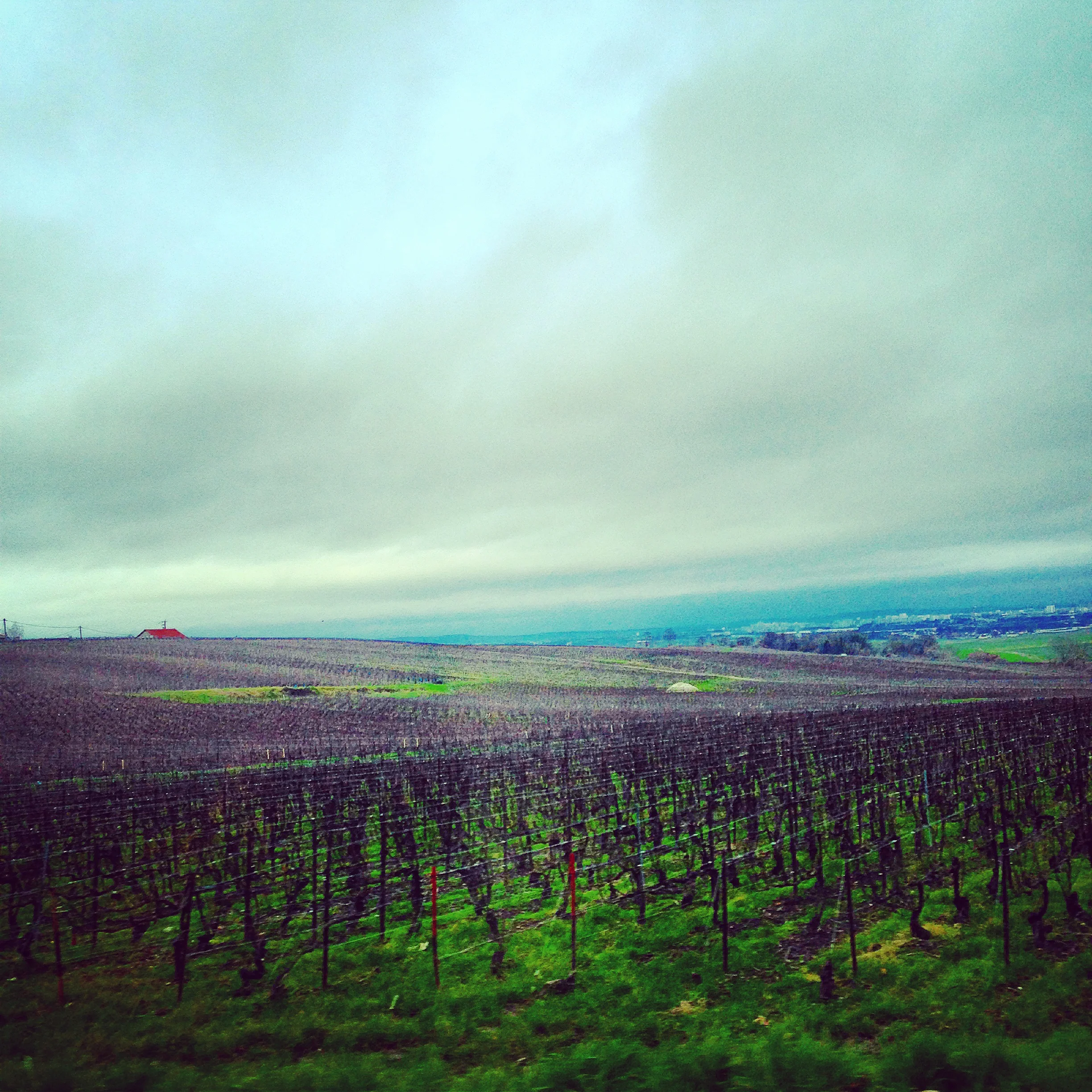  Champagne region France. 