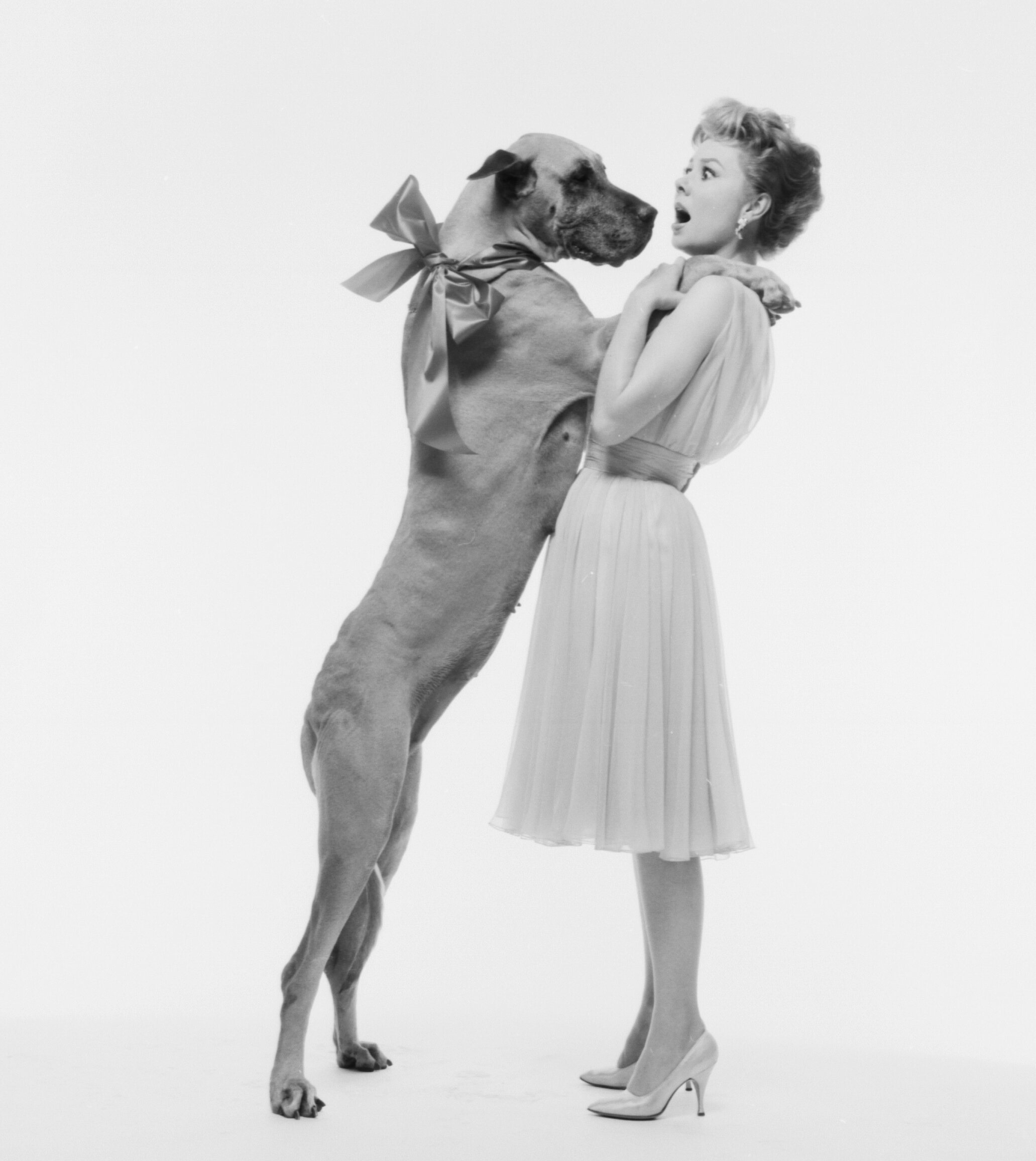 DW-59-Mitzi-Gaynor-001.jpg