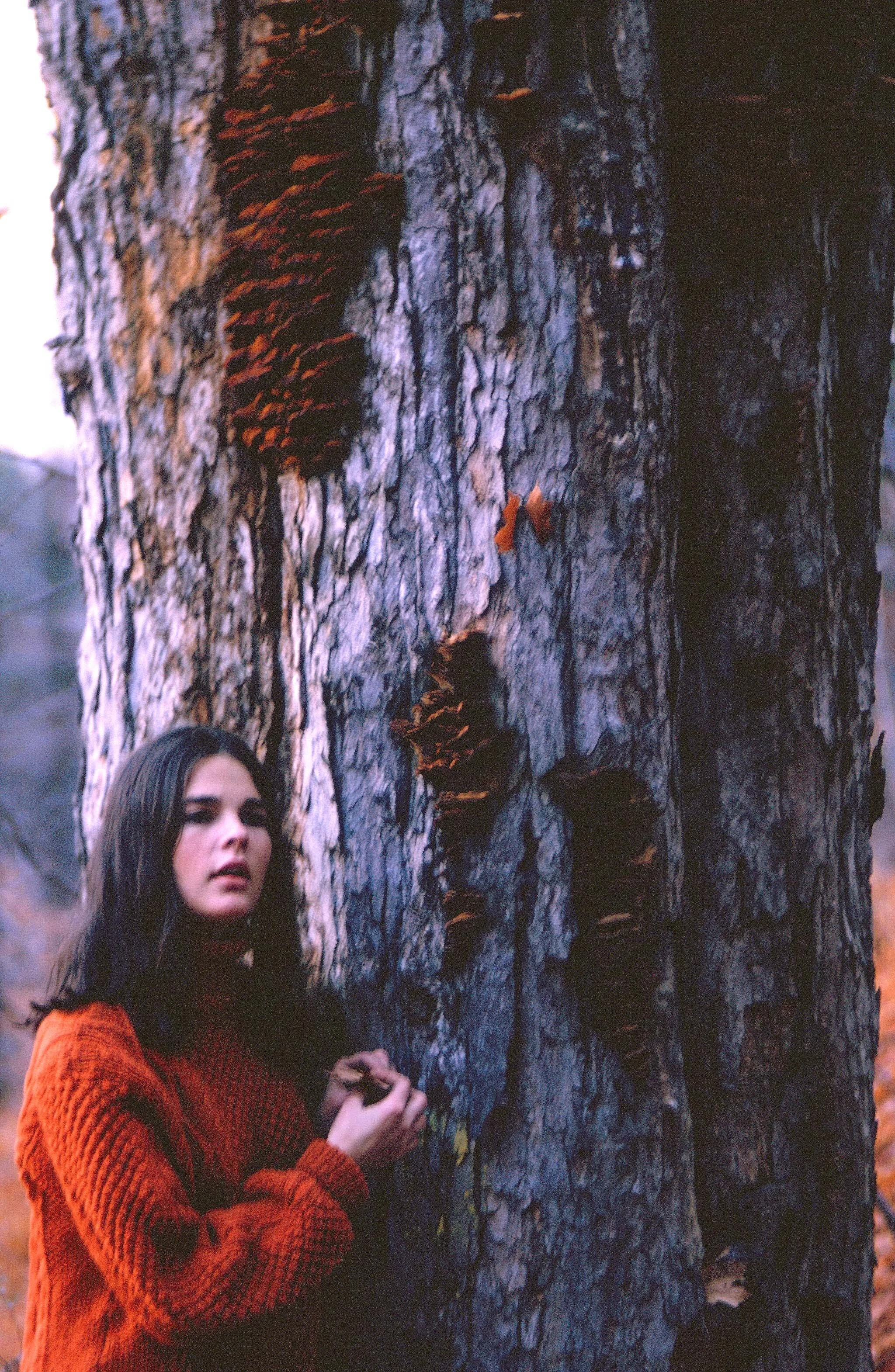Ali McGraw, 1963