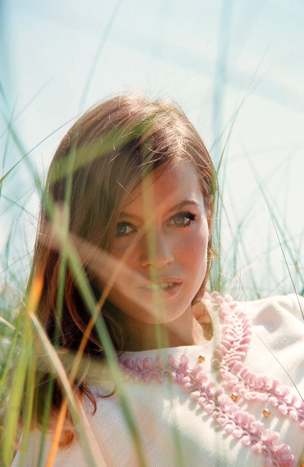 Phylis Major, 1966