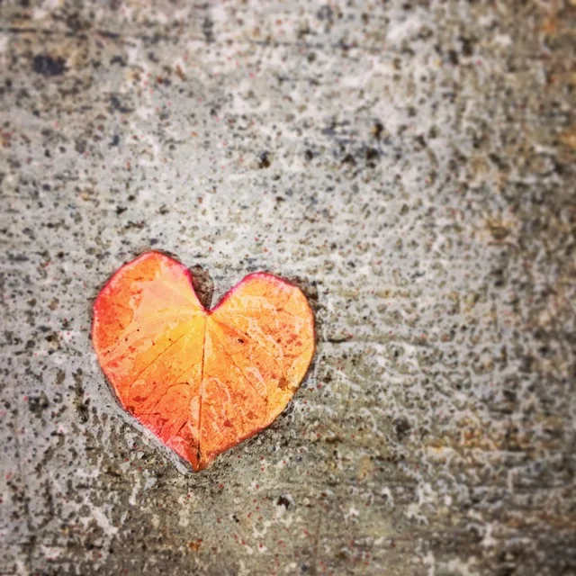 The 5 Dimensions of Love