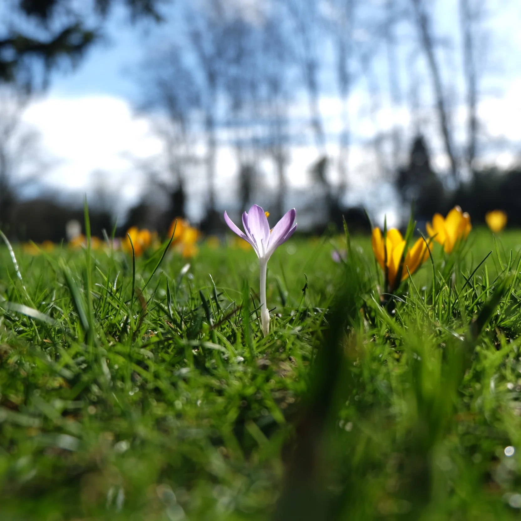 Disease is a Reminder