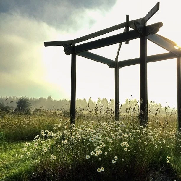 February Health Challenge: Meditate Every Day