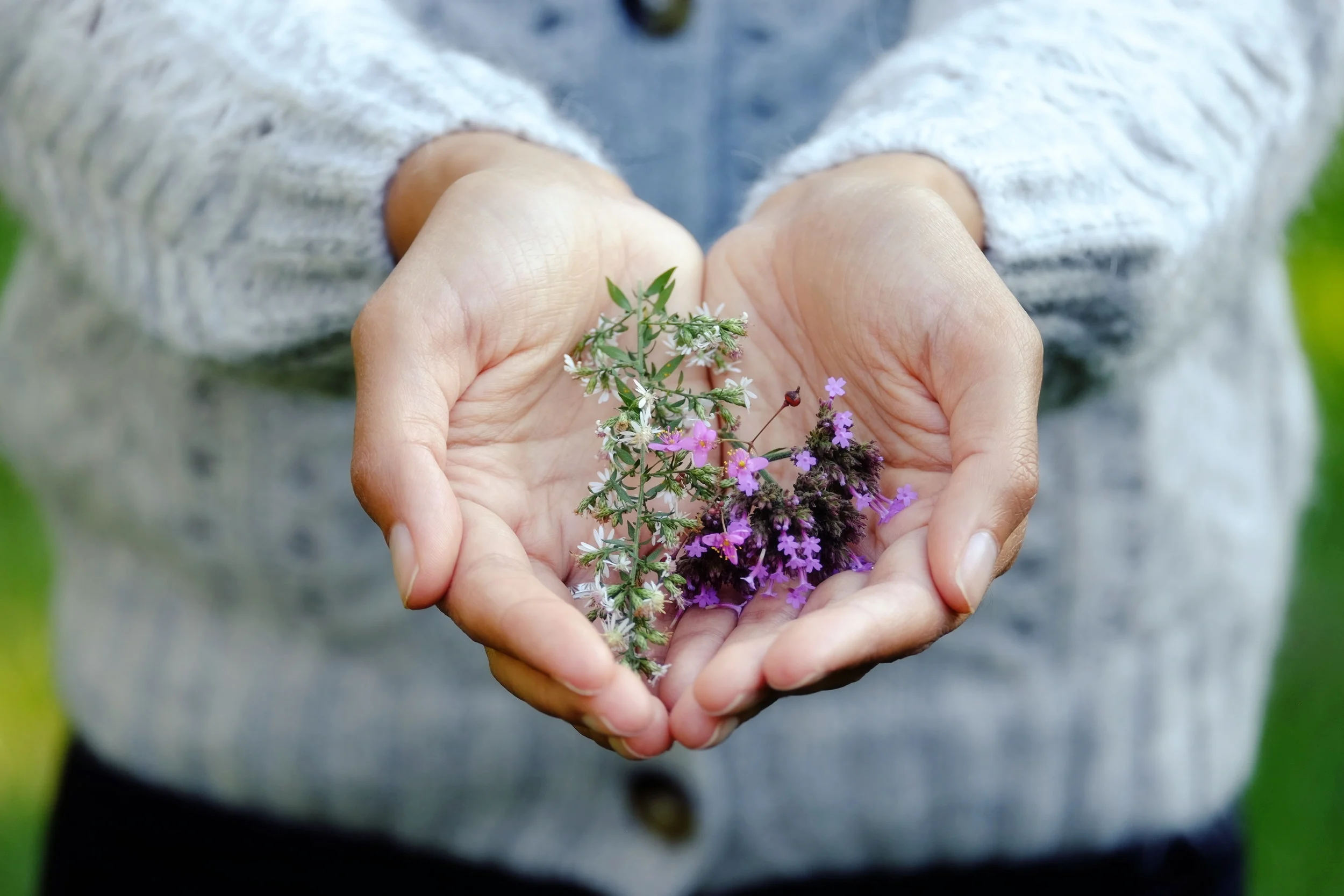 November Health Challenge: Practice Gratitude