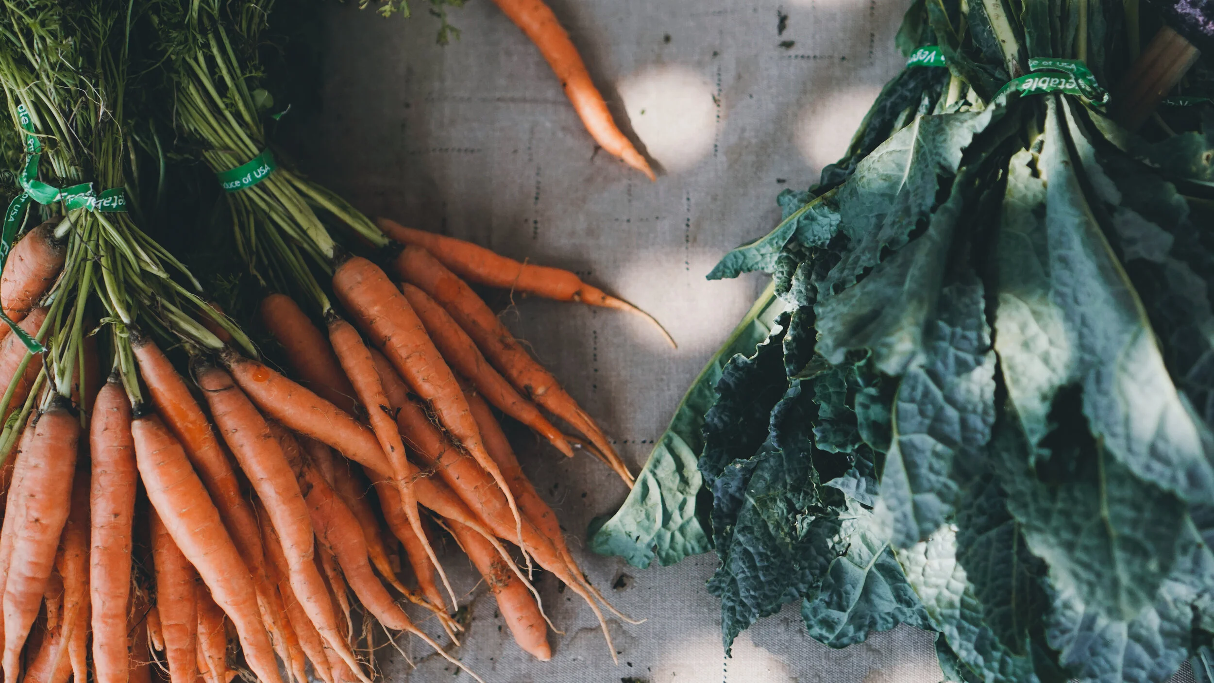 Food and the Immune System