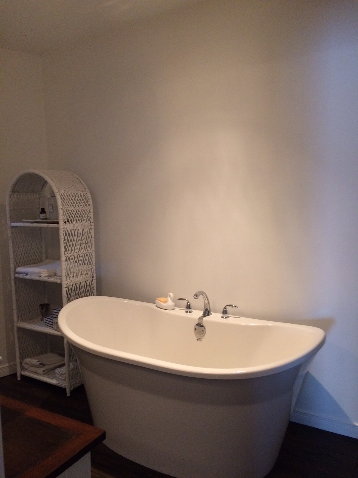 Thelma lower bathroom.jpg