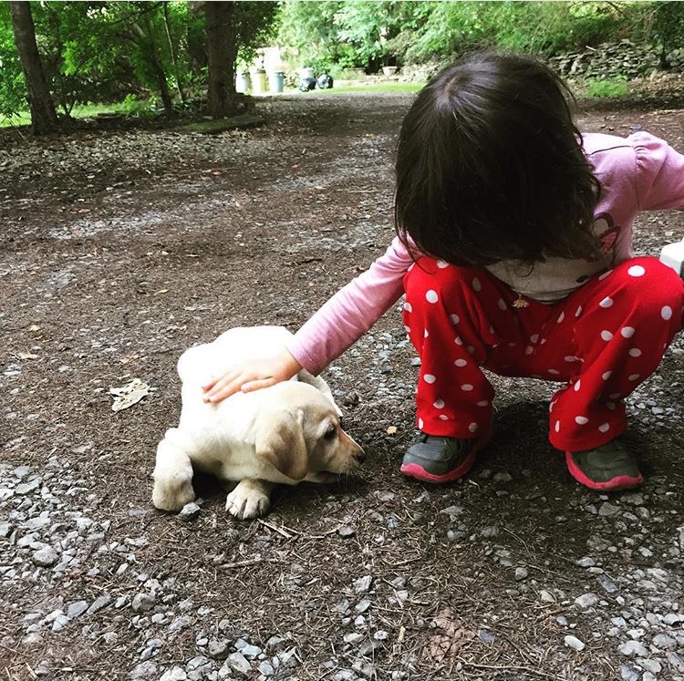 Boone's little brother, Bones, meets his new family.