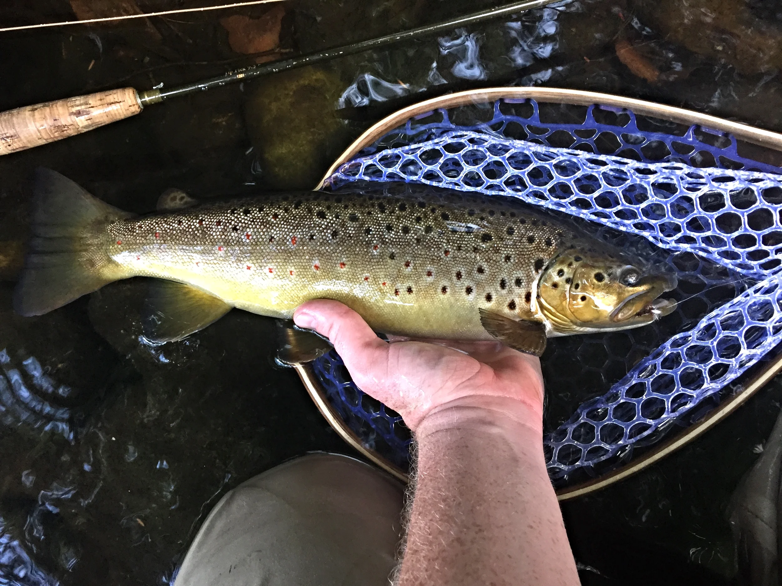 Keep'em Wet - Catch and Release Fishing