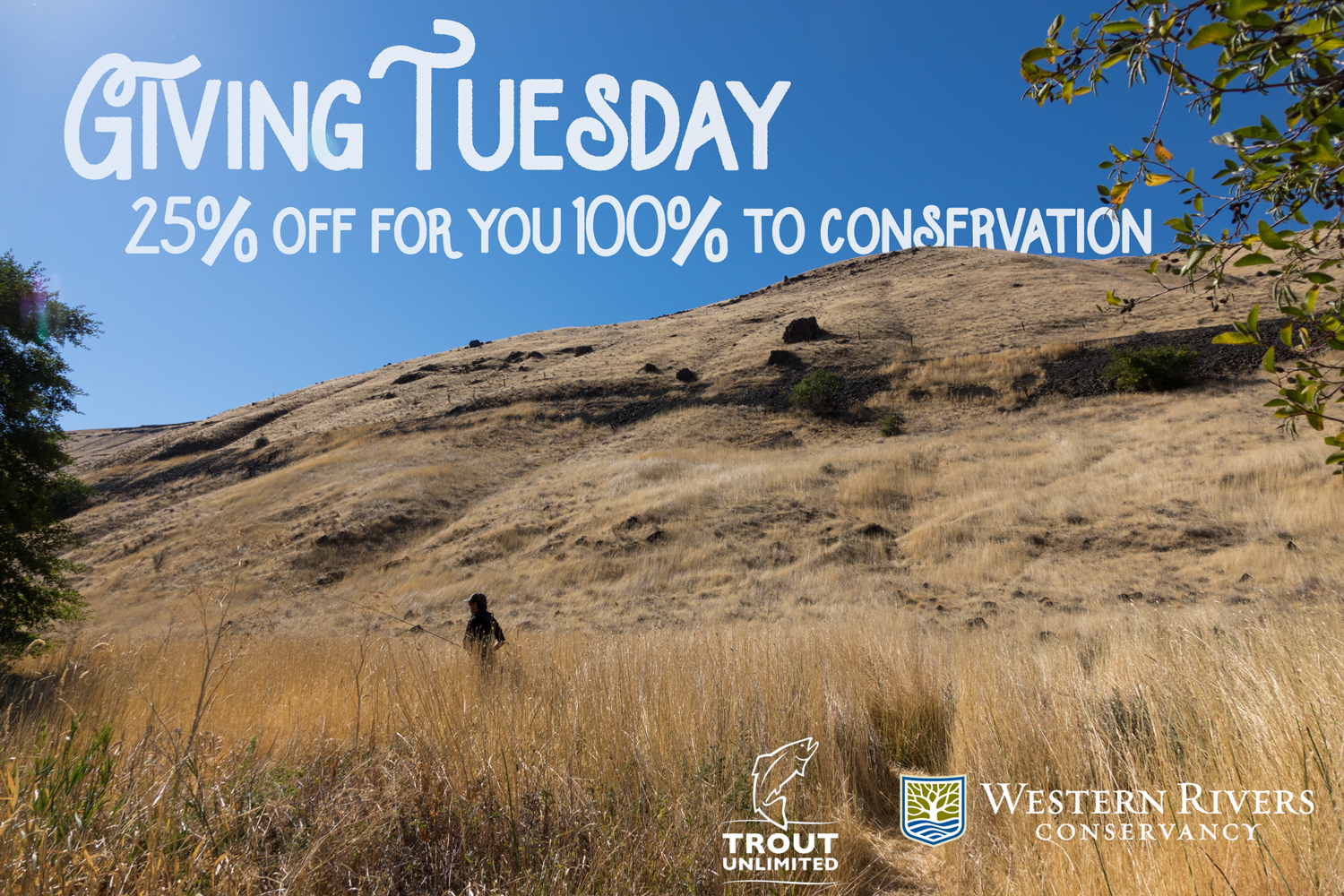 givingtuesday.png