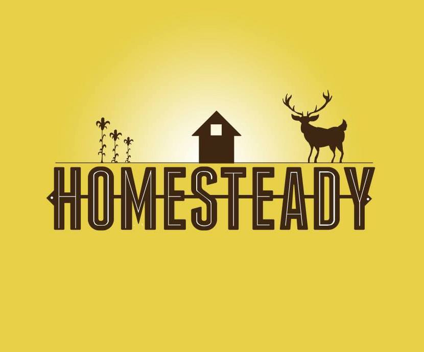 homesteady.jpg