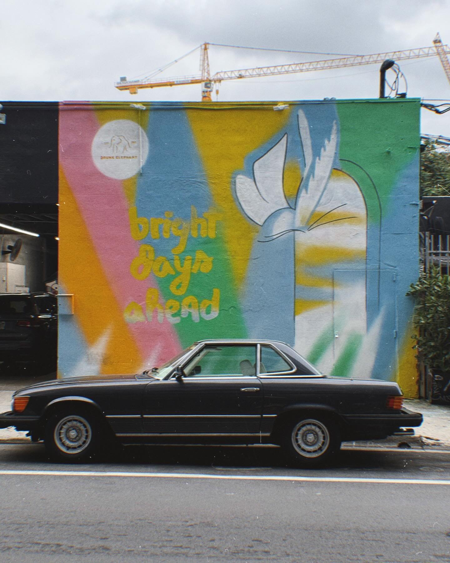 Wynwood needs to apply for wonder of the world status.