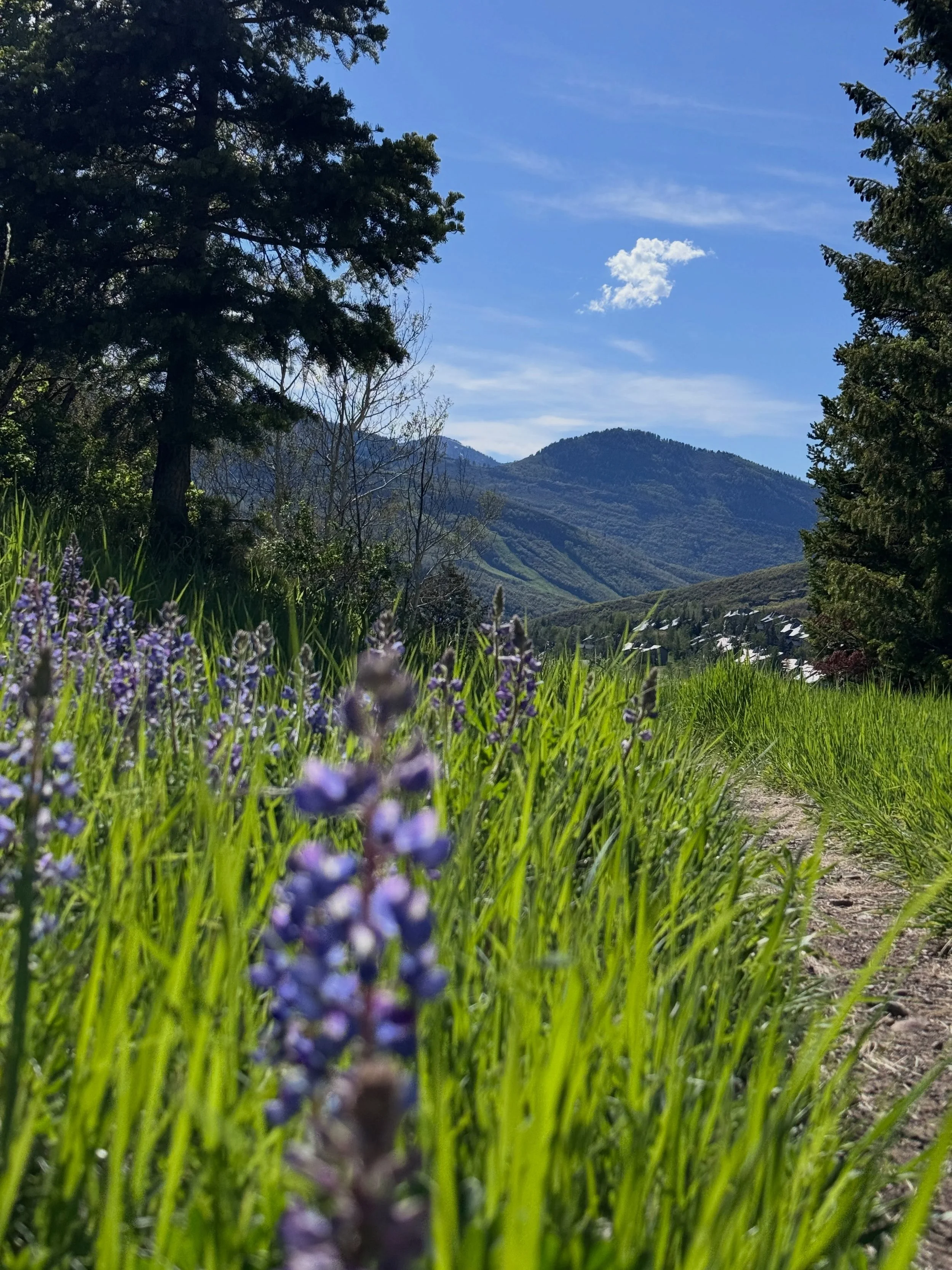 June Part 2

&ldquo;Work trip&rdquo; in Park City, Utah, where I cosplayed as a cowperson! I&rsquo;m the luckiest that these are my coworkers like I LIKE them genuinely. If only we didn&rsquo;t live all over the country ❤️🖕