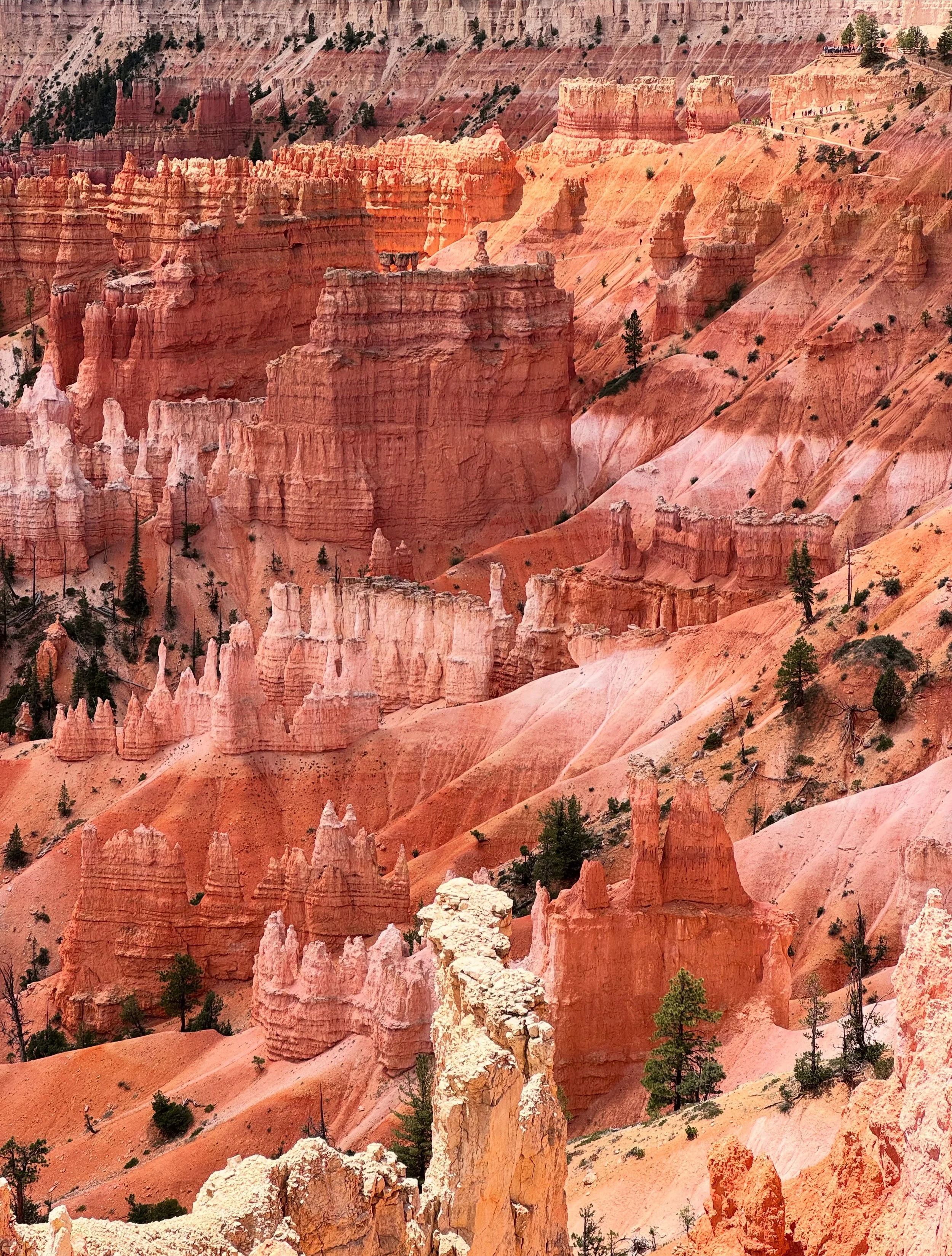 June part 1
Bryce Canyon needs to be seen to be believed! Highlights include, perfect weather, cute motel, not-cute buffet, debilitating stomach bloat, cowboys, long, windy roads, the company, THE CANYONS, the moon, AND the hoodoos, of course. 10/10