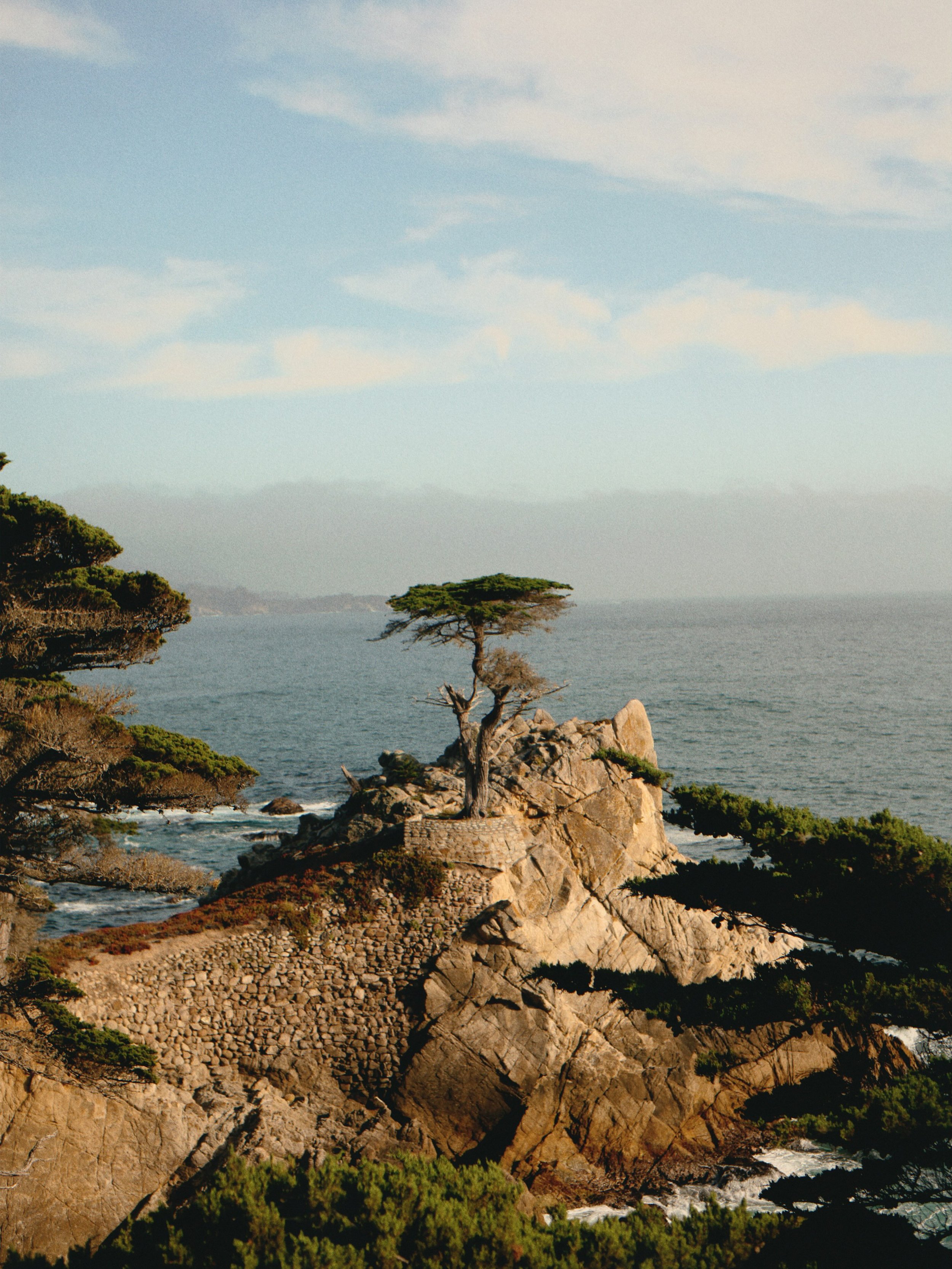Part four of California road trip ❤️ 

The lone Cyprus really is something to see 

I love photographing people photographing themselves with landmarks 

I just love watching people trying to capture the scene

Deer in the ocean 

Hair 10/10

Soul si