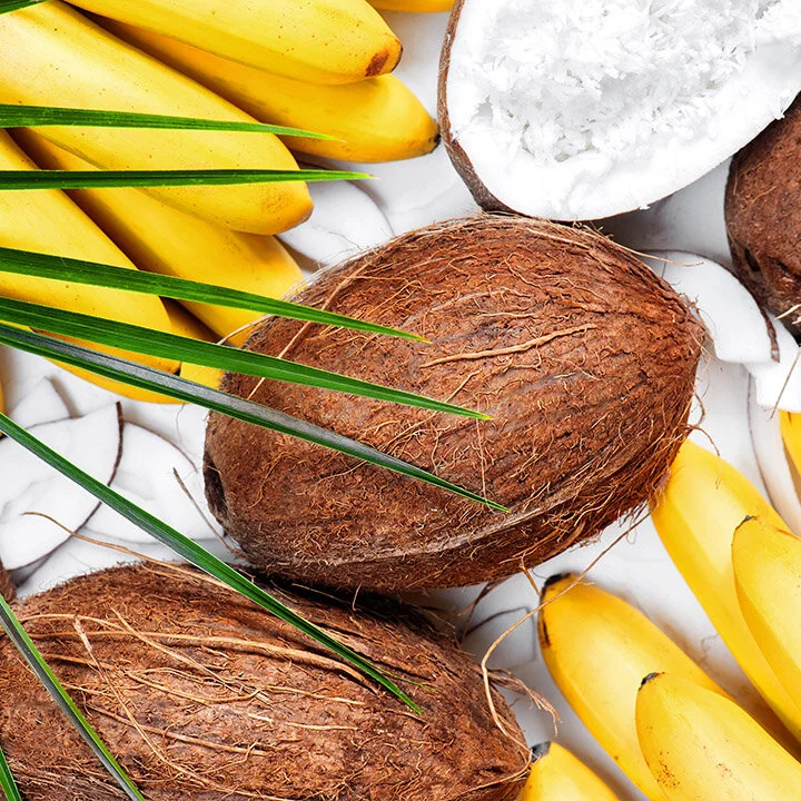 Fruit, Nuts & Seeds online music sessions