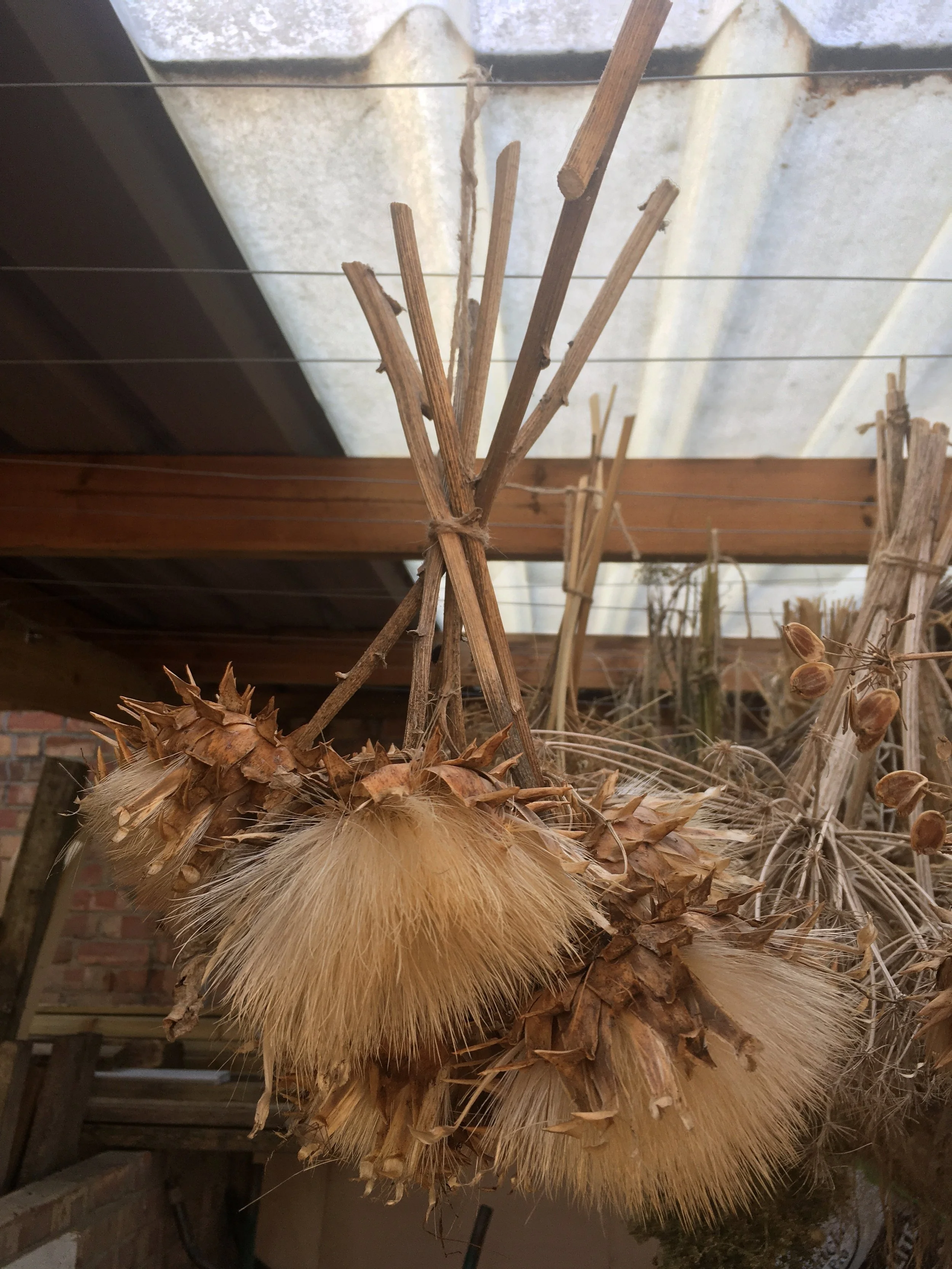 Carnival of Sound at Brockwell Park Community Greenhouses (pm)