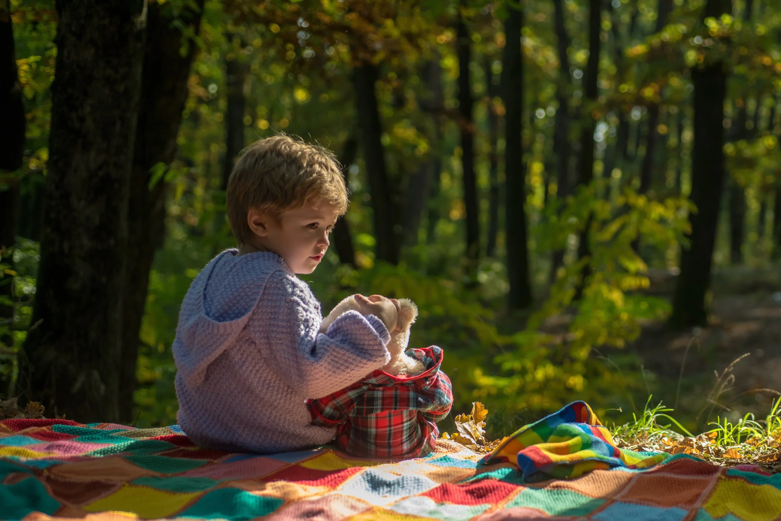 Teddy Bears' Picnic (am)