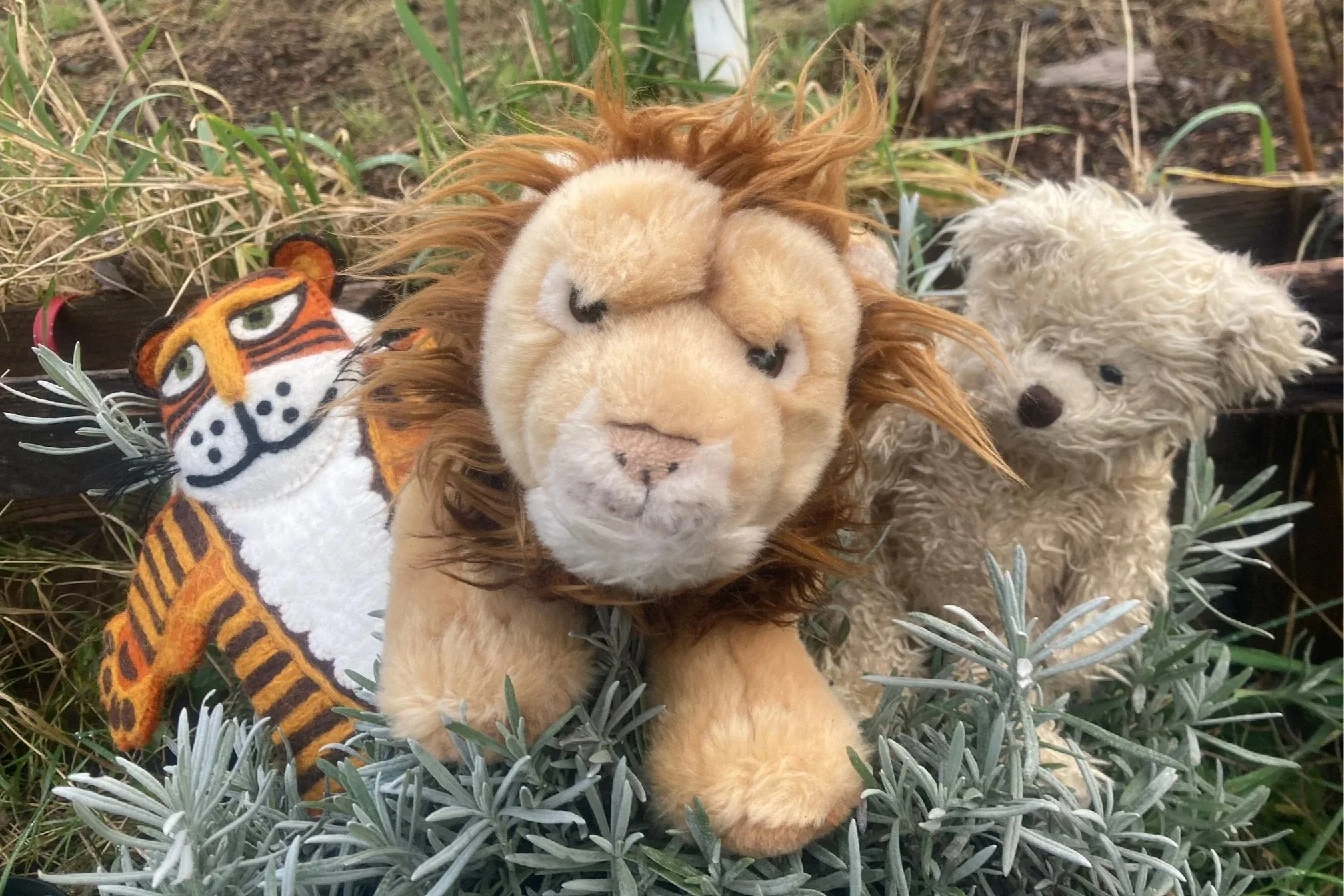 Lions and Tigers and Bears, Oh My! with Bangers &amp; Smash