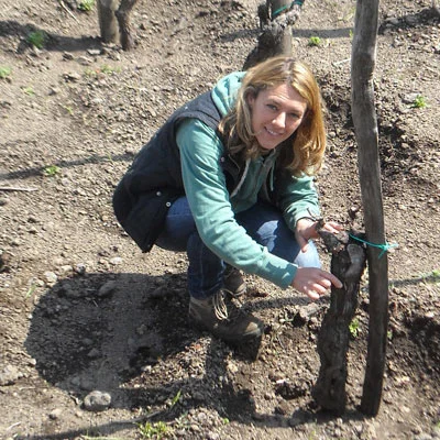 vino-di-thumb.jpg