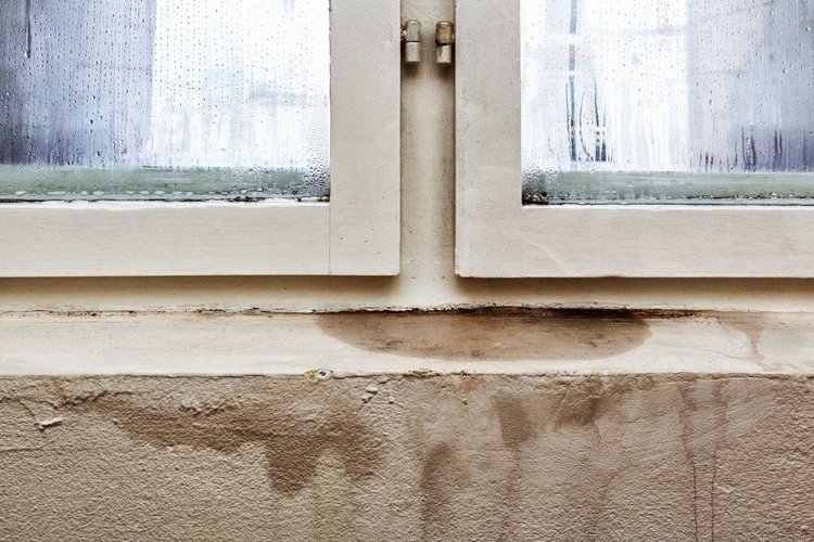 Fix Damaging Basement Moisture, How To Lower Humidity In A Basement