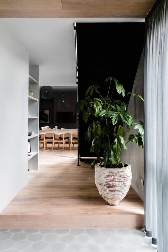 Photo Courtesy of Studio Ezra