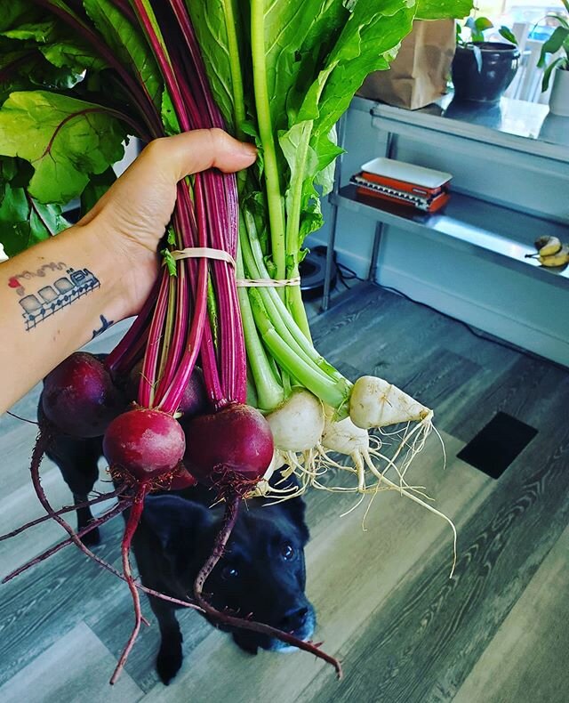 Grateful to all the farmers out there who are continuing to keep our bodies healthy and fridges loaded with veggies! I participate in a weekly veg delivery with one of my fave farms @sungoldmarketgarden (you can find their stuff at @coventgardenmarke