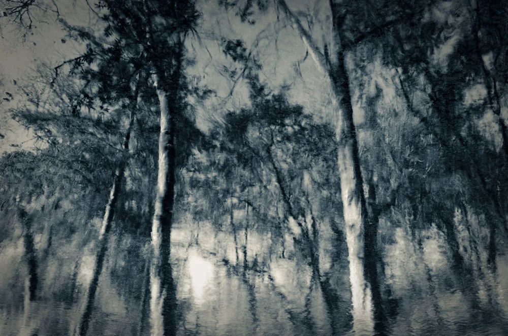 Lagunitas Creek