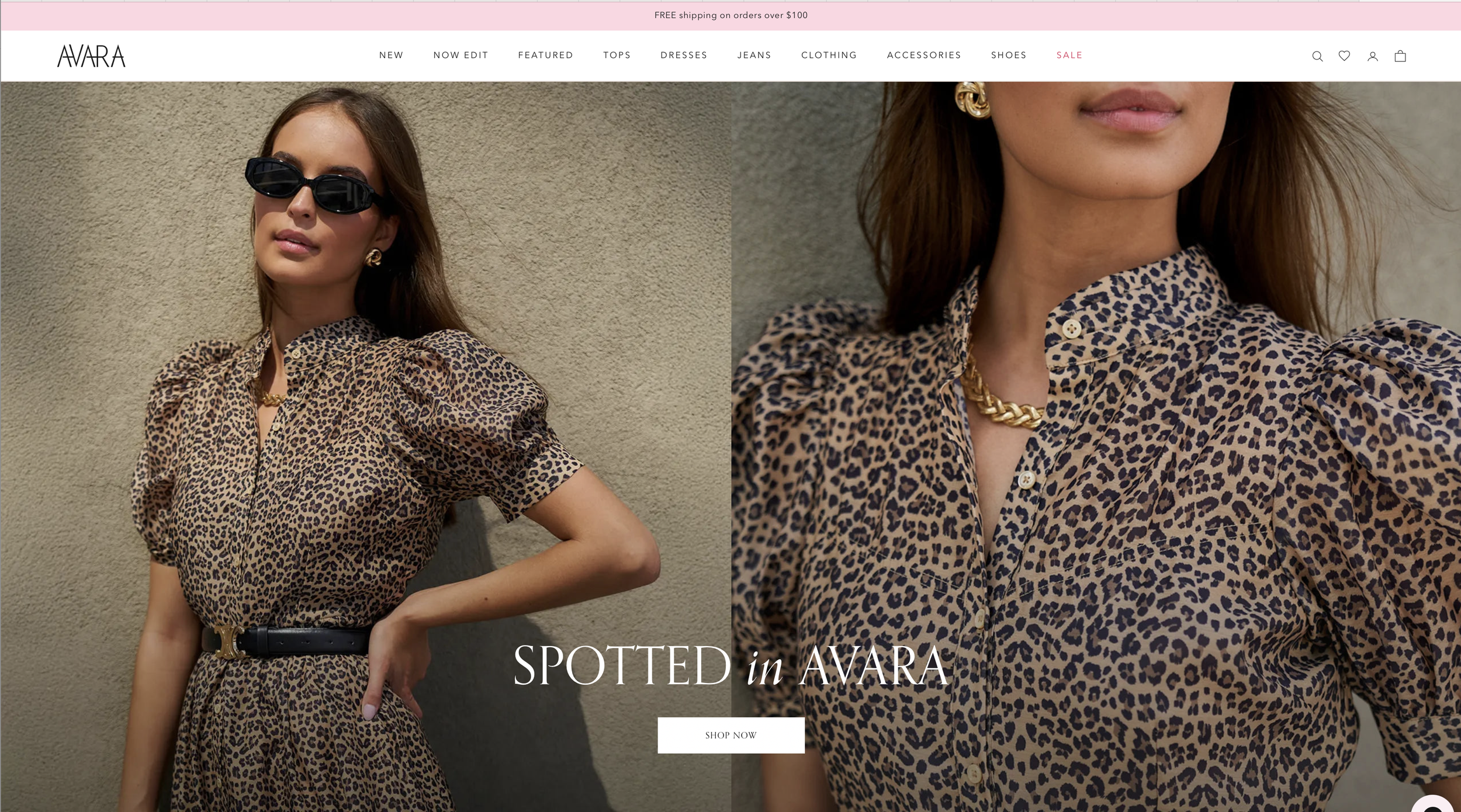 Screenshot 2025-08-19 at 10.40.12 AM.png