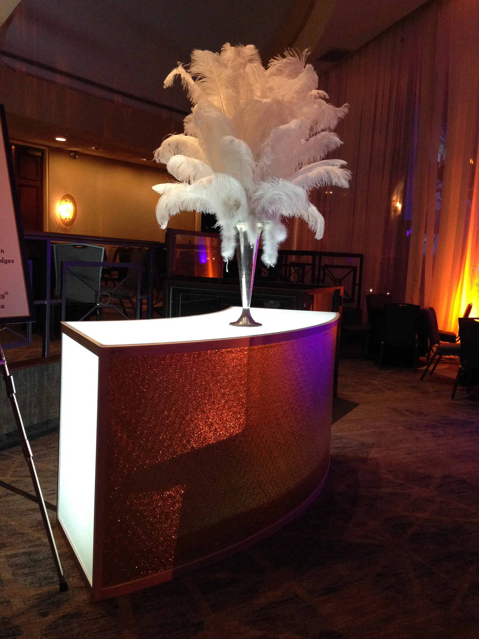 featherdisplay.jpg