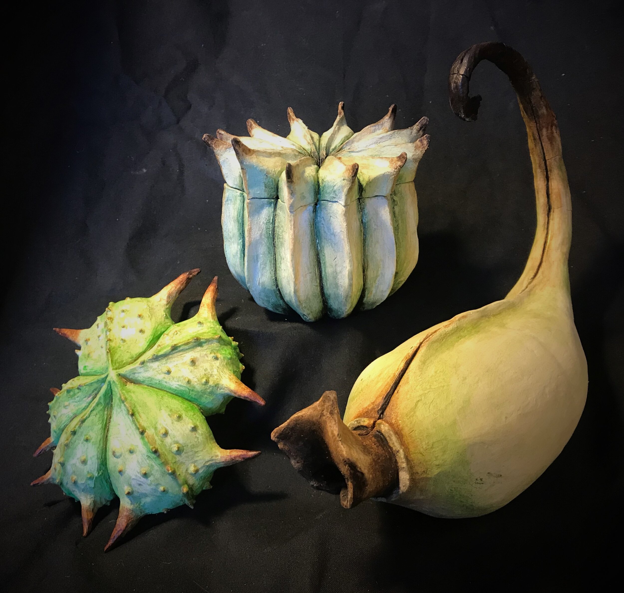 Seed Pods I