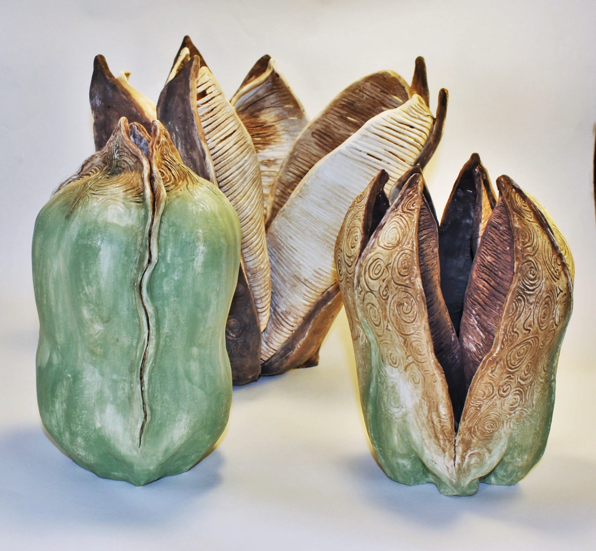 Yucca Pods