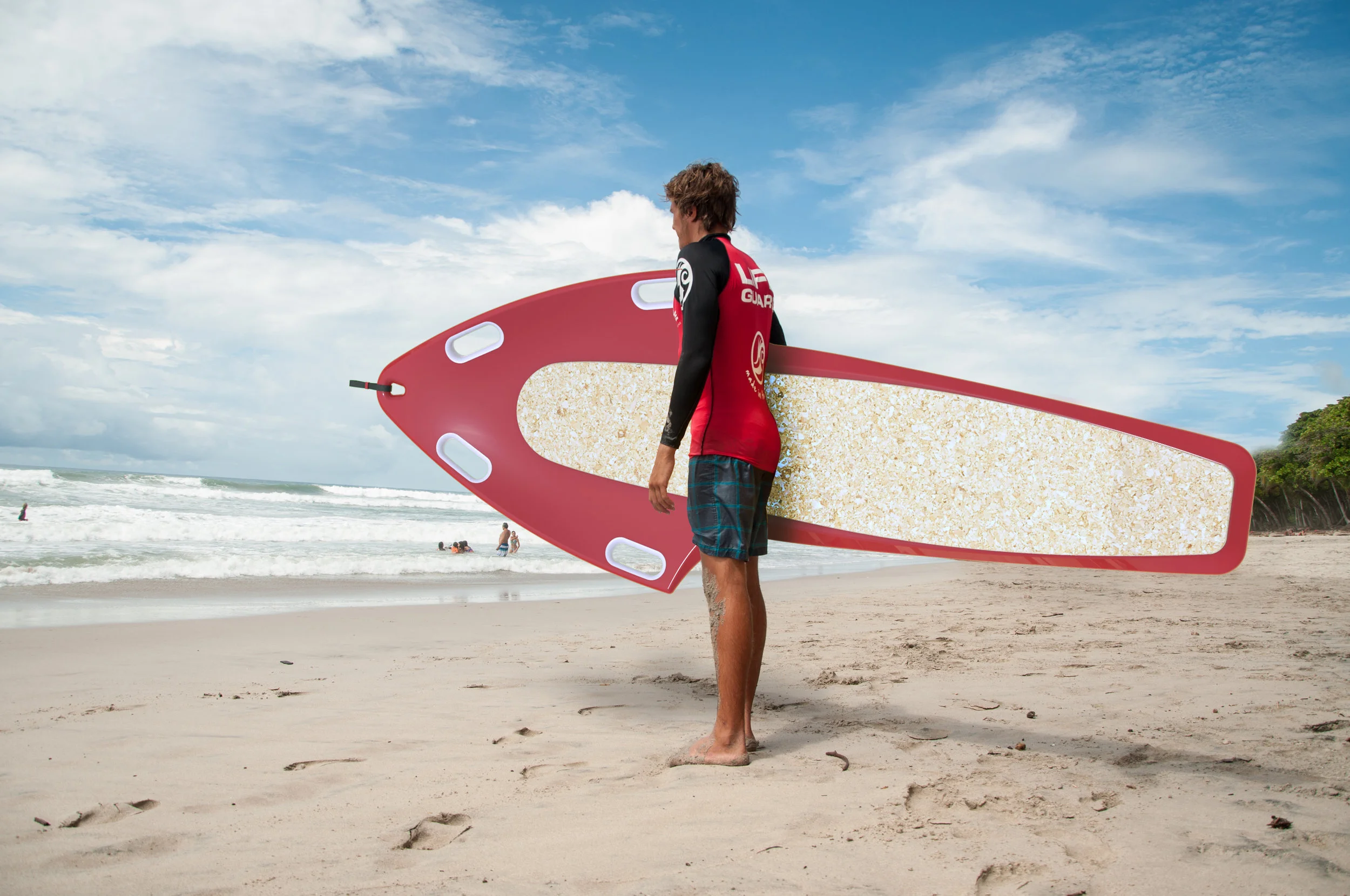 Render of the Ray Rescue Board