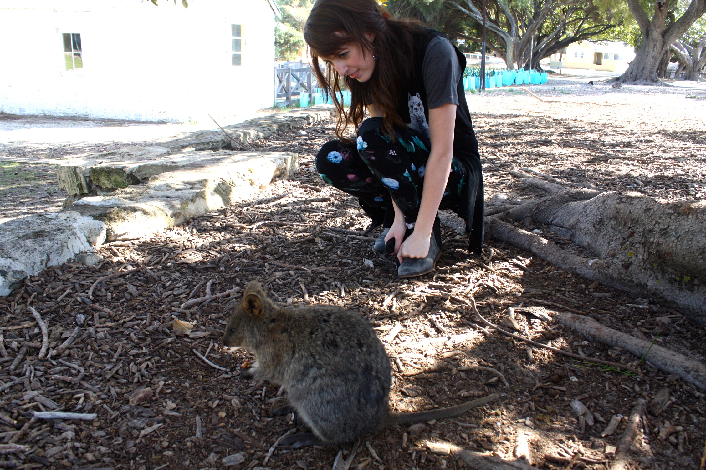 Pictured with a quokka in Western Australia, July 2015
