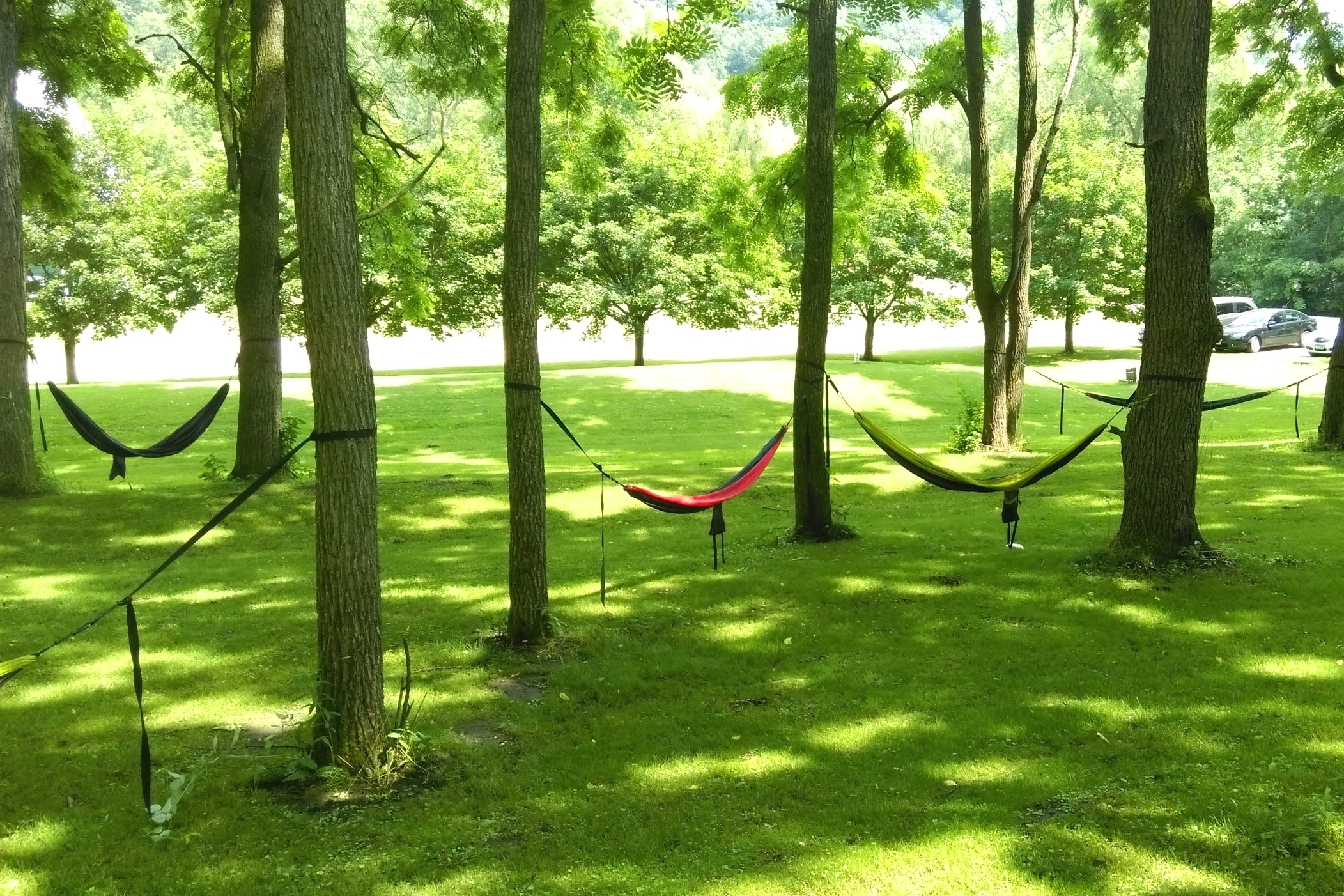 Hammocks.jpg