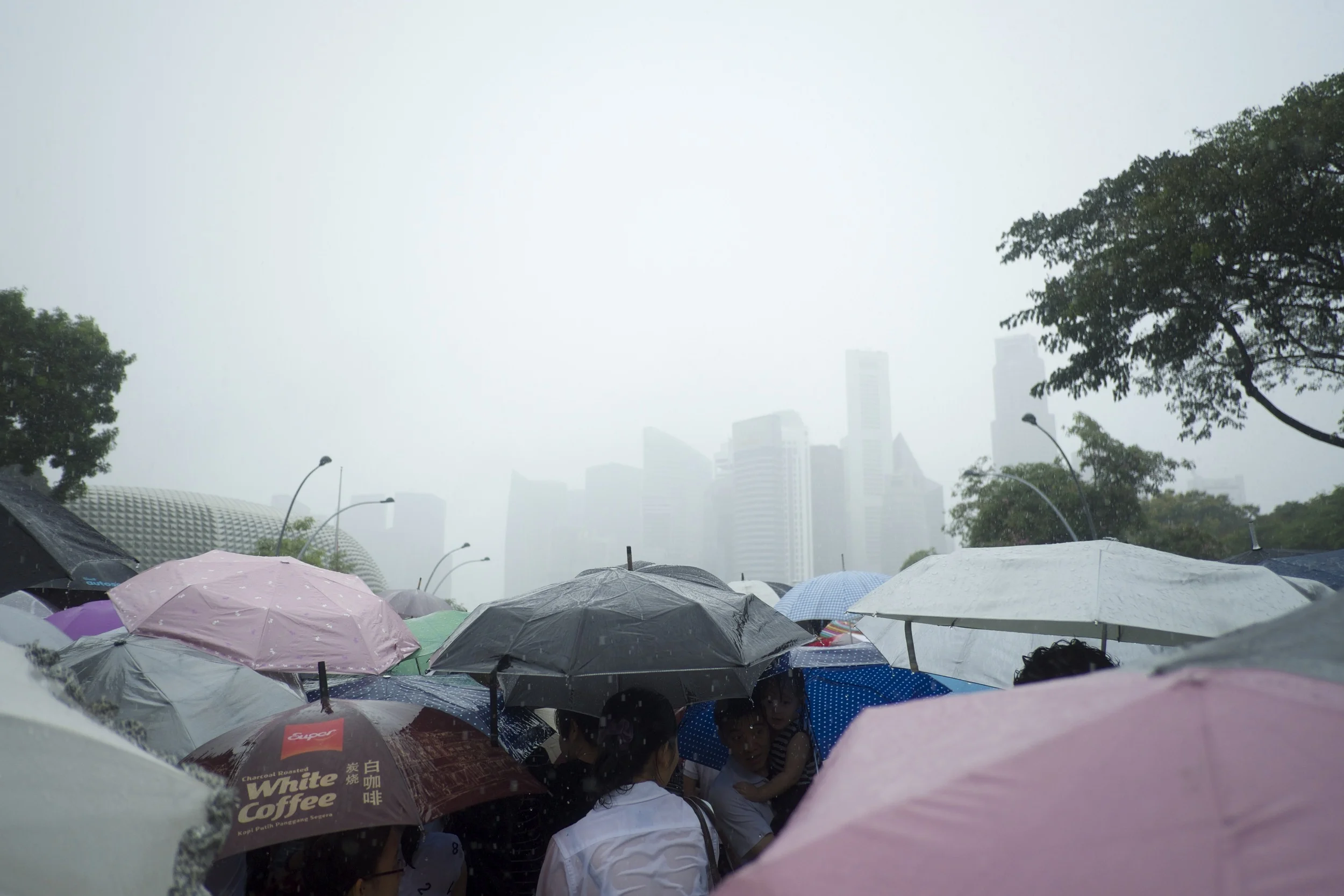 Hundreds of thousands of Singaporeans turned up to mourn Lee Kuan Yew, as his body was moved from the Parliament House to the funeral ceremony. (Credit: Dene-Hern Chen)